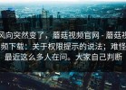 风向突然变了，蘑菇视频官网 - 蘑菇视频下载：关于权限提示的说法；难怪最近这么多人在问。大家自己判断